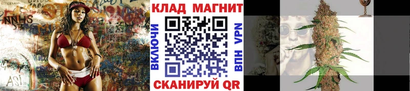 Где продают наркотики Алексин A PVP COCAIN Меф мяу мяу Галлюциногенные грибы Гашиш Конопля