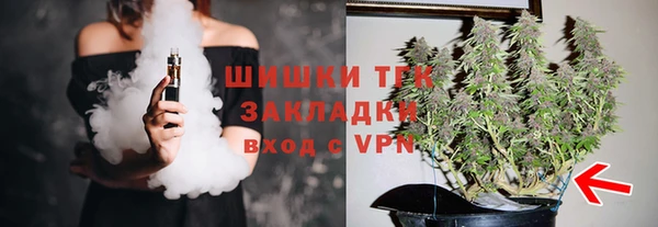 прущий лед Алзамай