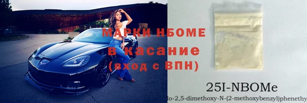 прущий лед Алзамай