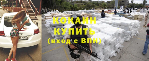 прущий лед Алзамай