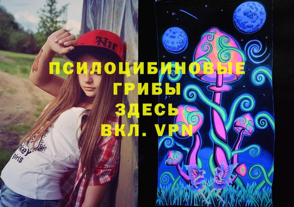 молекула духа Алексин